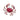 Broche Jaiba con Cristales Rojos